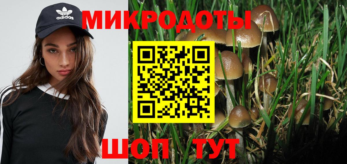 Псилоцибиновые грибы Psilocybine cubensis  Вход с VPN  Галлюциногенные грибы Psilocybine cubensis  Набережные Челны 