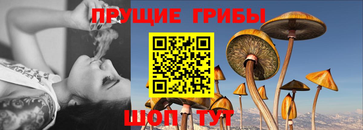 Псилоцибиновые грибы Magic Shrooms Набережные Челны